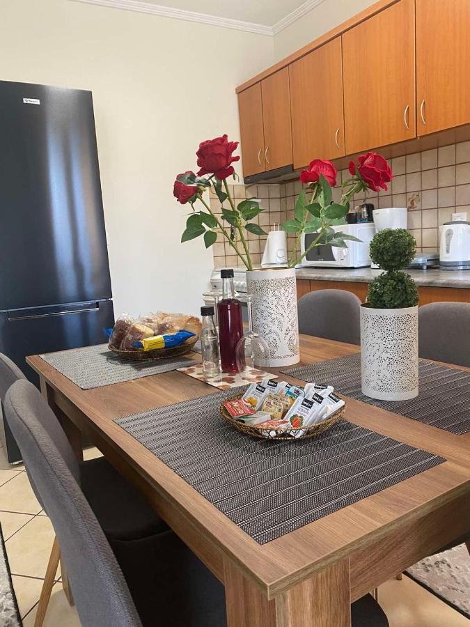 Bakopoulos Resort.Ενα Όμορφο Διαμέρισμα Με Τζάκι Trikala  Ngoại thất bức ảnh